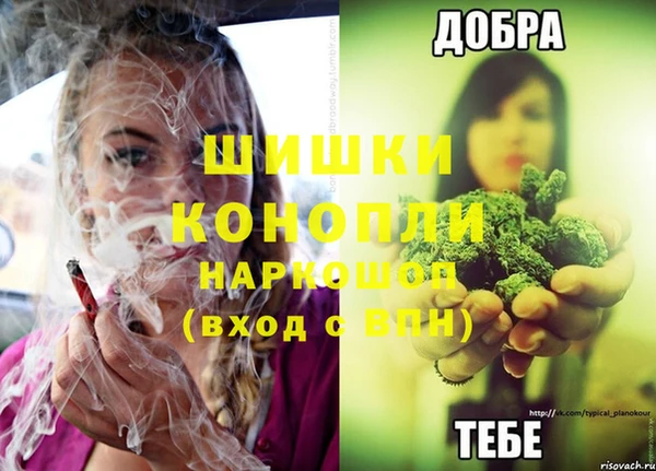ПСИЛОЦИБИНОВЫЕ ГРИБЫ Пестово