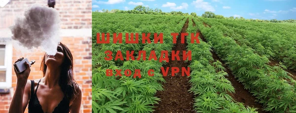 амф Алзамай