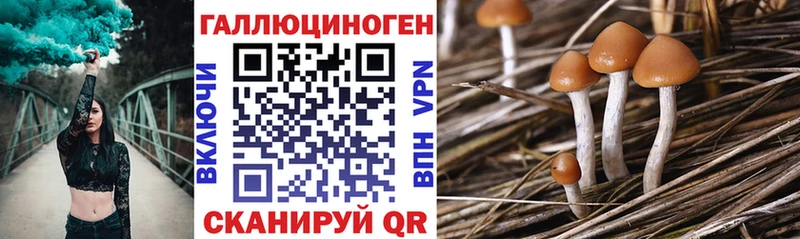 Псилоцибиновые грибы мухоморы Анапа